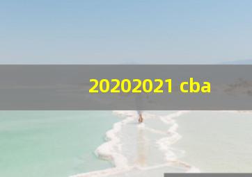 20202021 cba